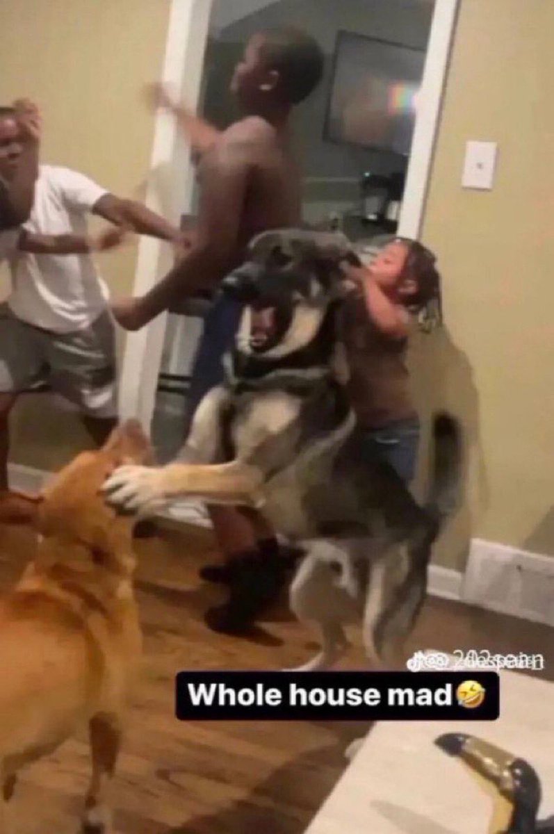 buckyapper's tweet image. how it felt coming back to see oomfs from sebtwt fighting rivalstwt when i took my break