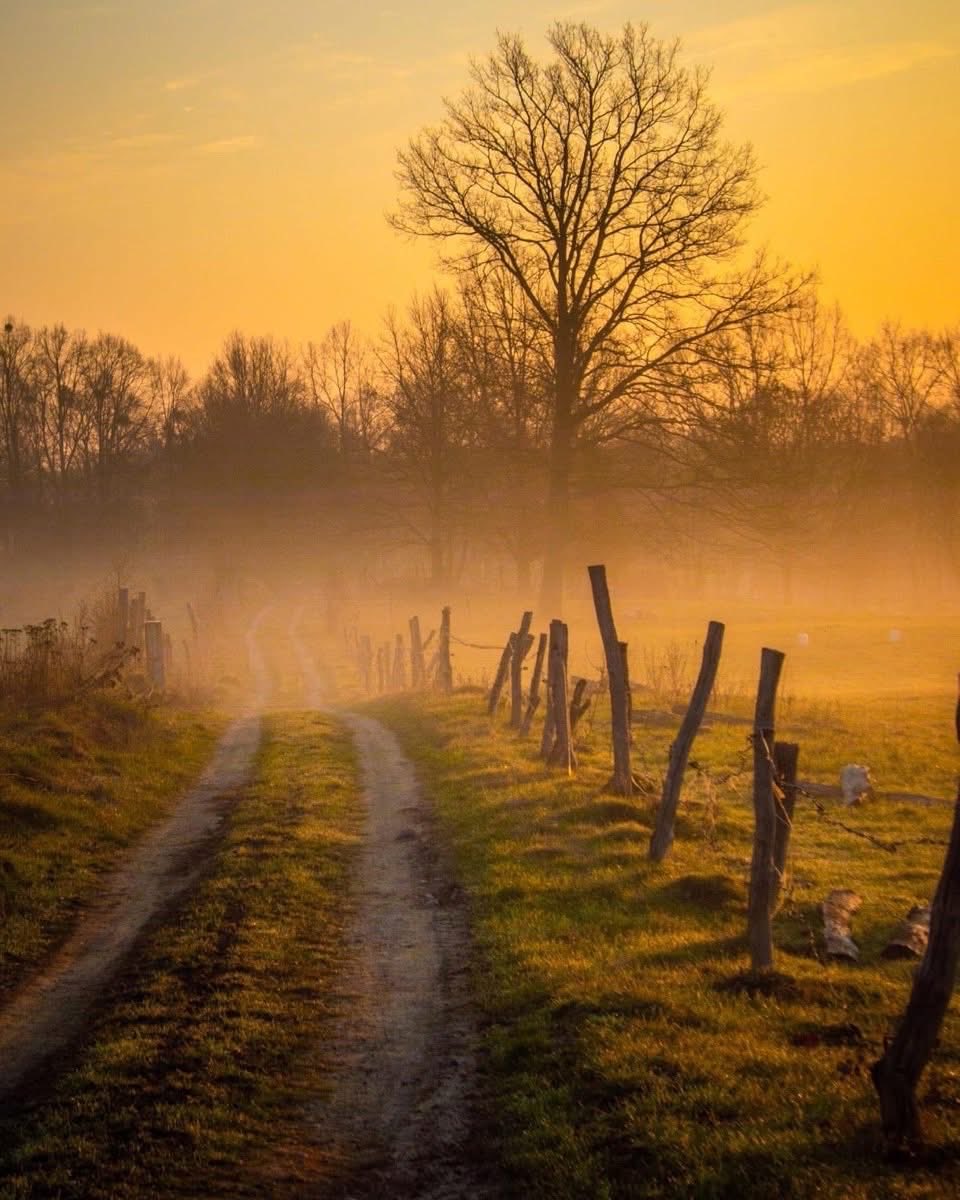 Goedemorgen, mooie woensdag.