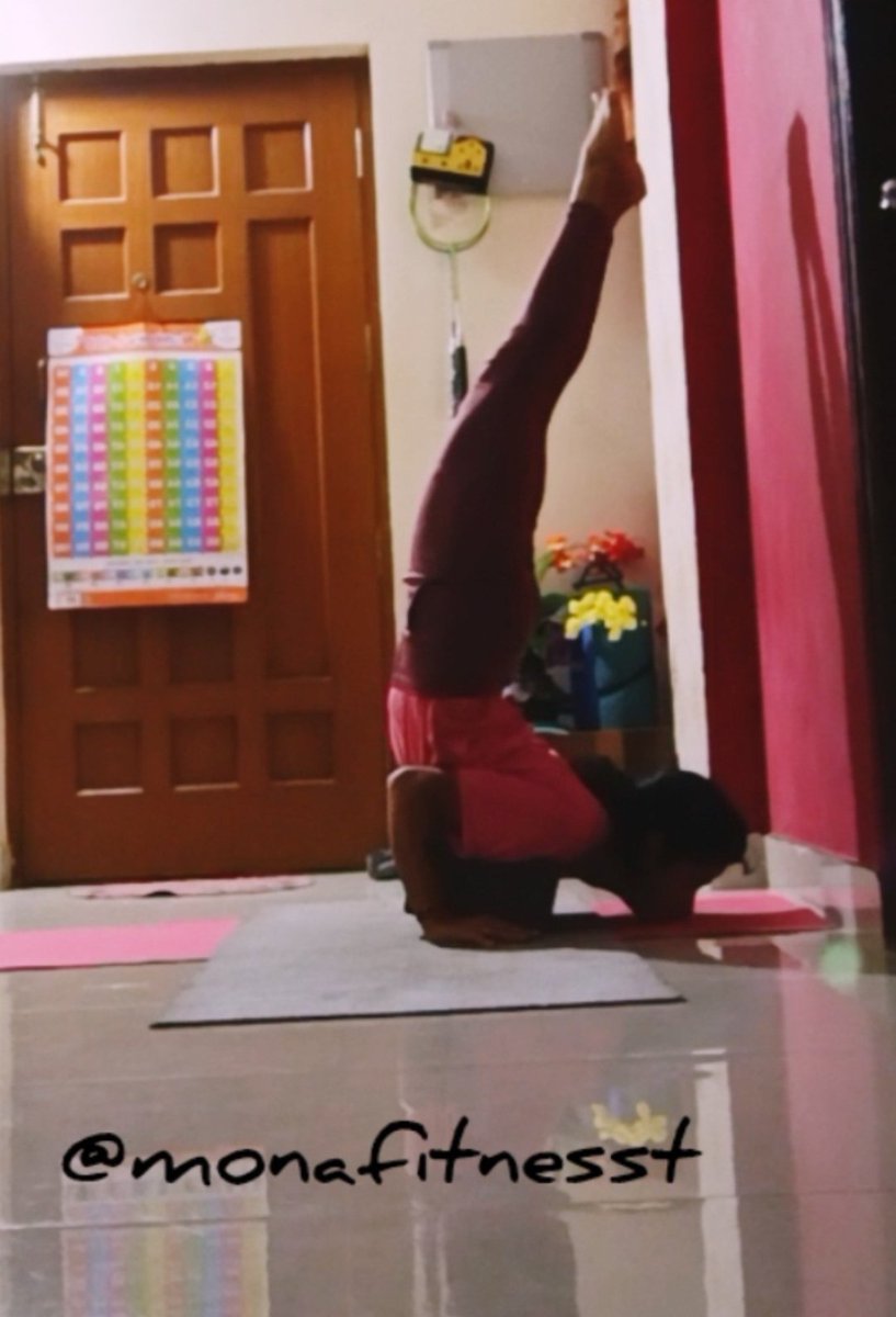 Monika48779734's tweet image. #day28 😻🥰❤💚☘️
#shalbasana variations flexibility🔥💪
 #variations
🙏🏻
@monafitnesst
#morningpractice
#monafitnesst
#yogawithmonafitnesst
#yoga 
#internationalyogaday
#yogateacher
#100days
#challenge #100dayswithmonafitnesst
#mom
#yogateacher

instagram.com/reel/DOZ6T5rEv…
