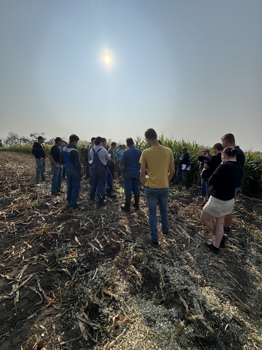 CraigSchmidt7's tweet photo. Beautiful day for the last Corn tailgate of the Year #PioneerSeeds.Ca 
Thx to #DougMoisey@corteva.Ca and #Slav Zukiwski @corteva.Ca for there support 
Won’t be long from chopping https://t.co/Jrwdbg3p3m