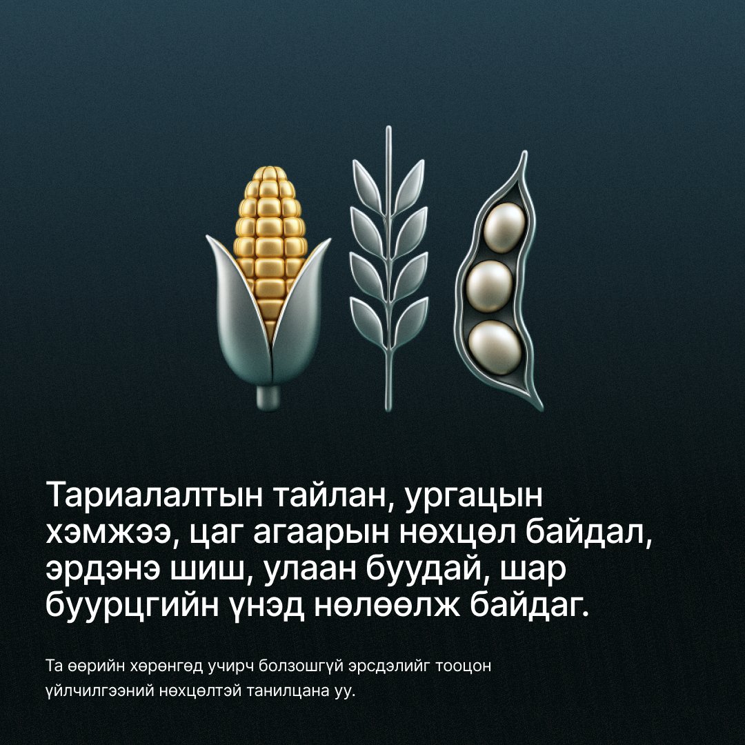 xm_mgl's tweet image. Зах зээл ч гэсэн улиралтай. 🌾 

➡️ Бидэнтэй  хамт байж, илүү ихийг олж мэдээрэй.

#XM #LearnWithXM #Commodities