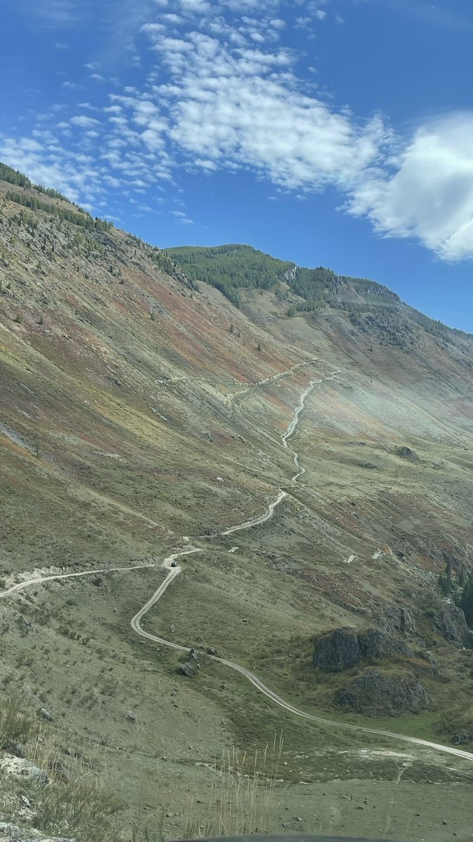 Рандомные картинки с Алтая