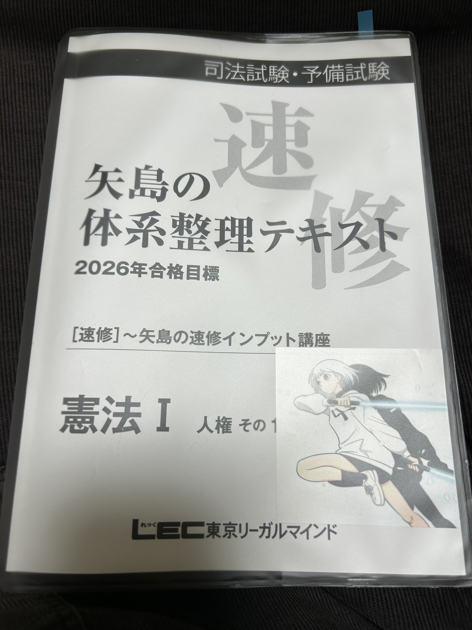 LEC 司法試験・予備試験　矢島の速修パック（速修インプット講座、論文完成講座） 矢島の速修インプット講座 - 司法試験 予備試験｜LEC東京