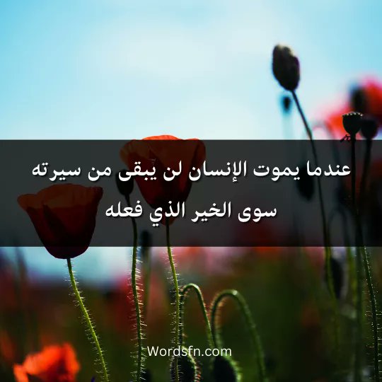 <a href="/MidoAdil7/">l.moon</a>
