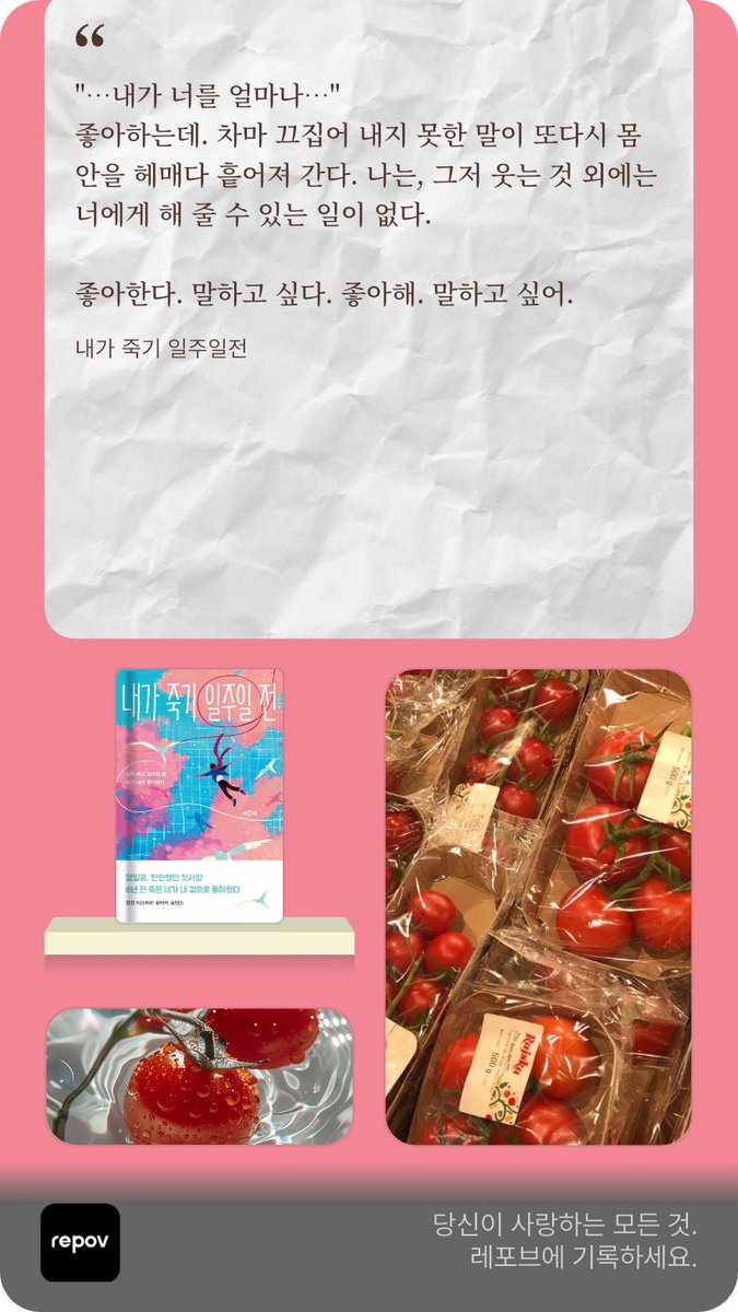 레포브 꾸미기 최종🍅