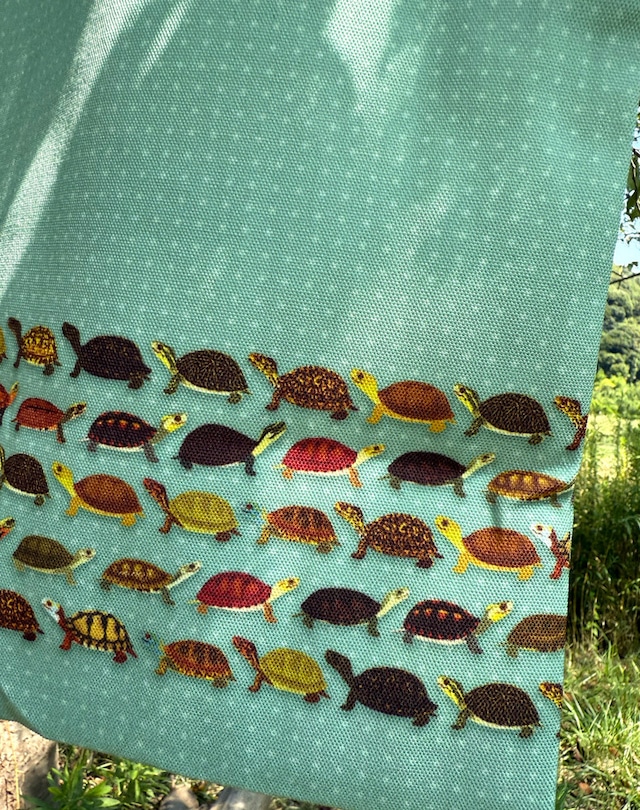 kameminoji's tweet image. ハコガメづくしのバッグができました🐢
#カメグッズ #boxturtle
minoji.base.shop/items/118118317