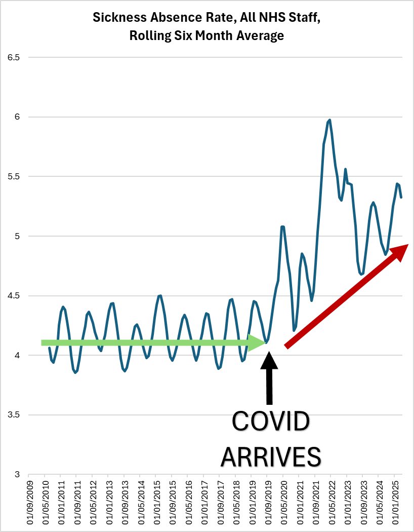 HeyDiddi 📯 💉😷 🔴 tweet media