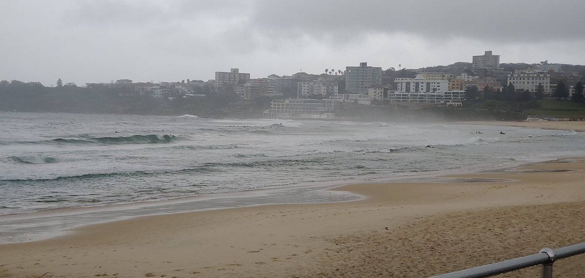 RobertIreland's tweet image. No protests, no horses, just surfers at Bondi today.
