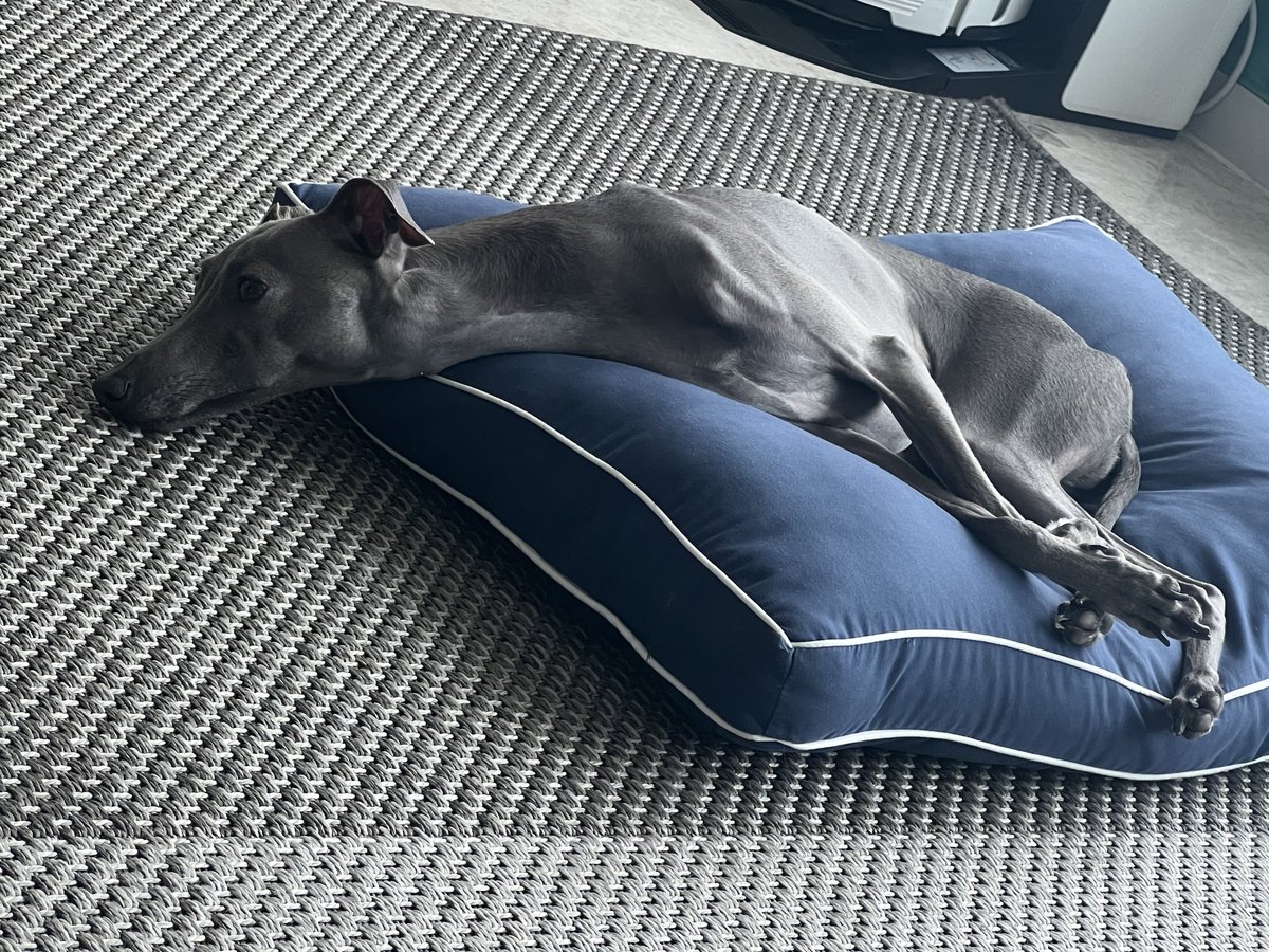 우리파이 tweet media