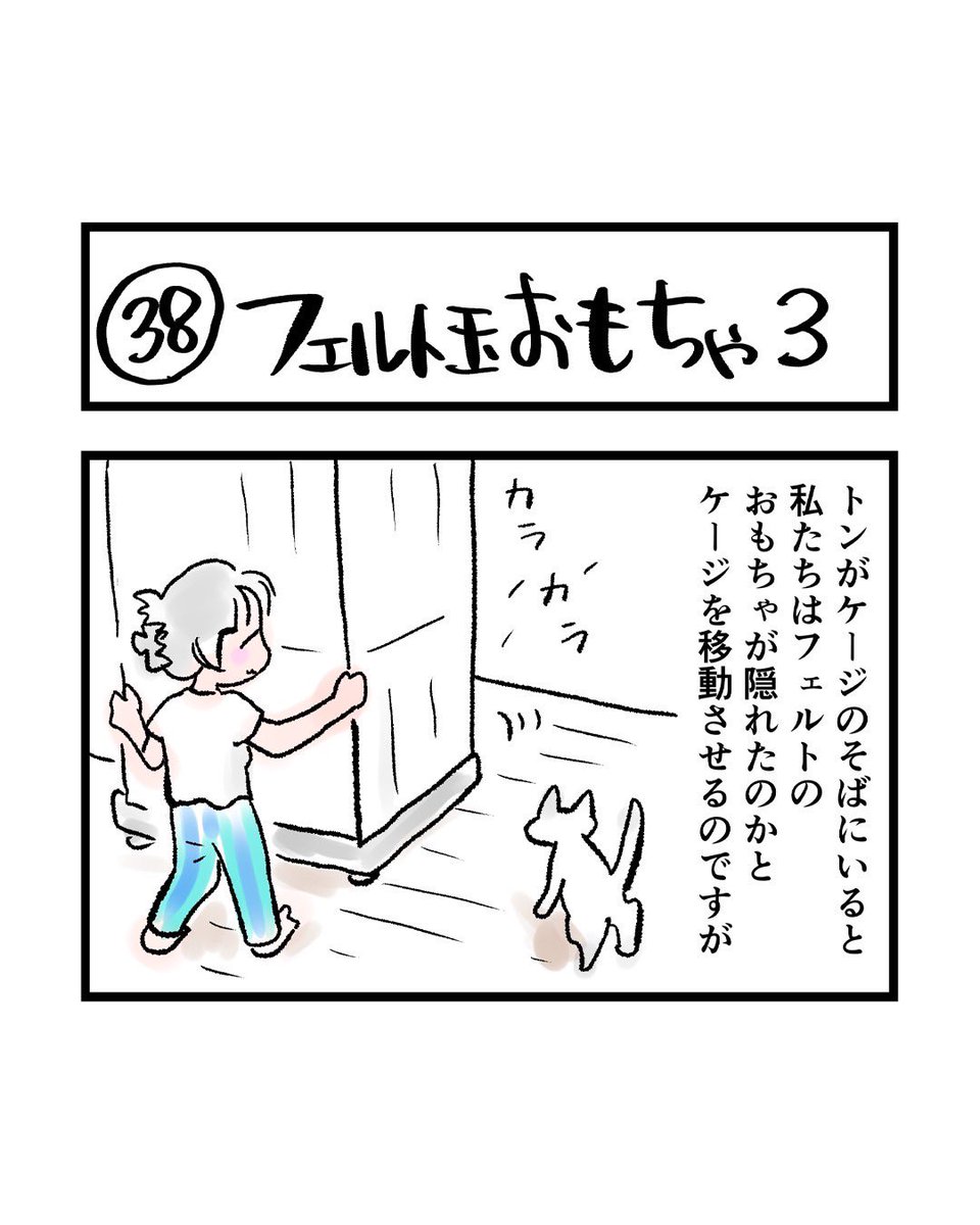 インスタ4コマ「私たちは猫猫している」更新されました。

フェルト玉探しに協力する私たち。

https://t.co/XE6X1NRy4a 
