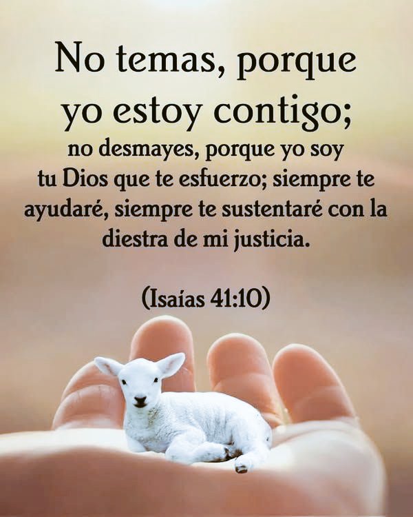 BibliaEnLinea® ⚓️ tweet media