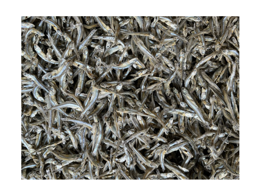 VSF202's tweet image. 🐟 Viet SeaFarm Fish Skin (Dried &amp;amp; Frozen) – collagen &amp;amp; protein-rich, export quality. Perfect for food, cosmetics &amp;amp; pet feed. 🌍
📧 export4@vietseafarm.com.vn | 📞 +84 387 363 125
#FishSkin #MadeInVietnam #VietSeaFarm #ExportQuality