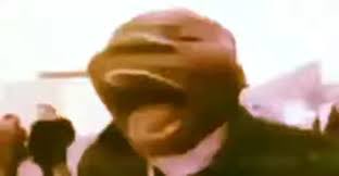 ʙɪʙʙʟᴇ tweet media
