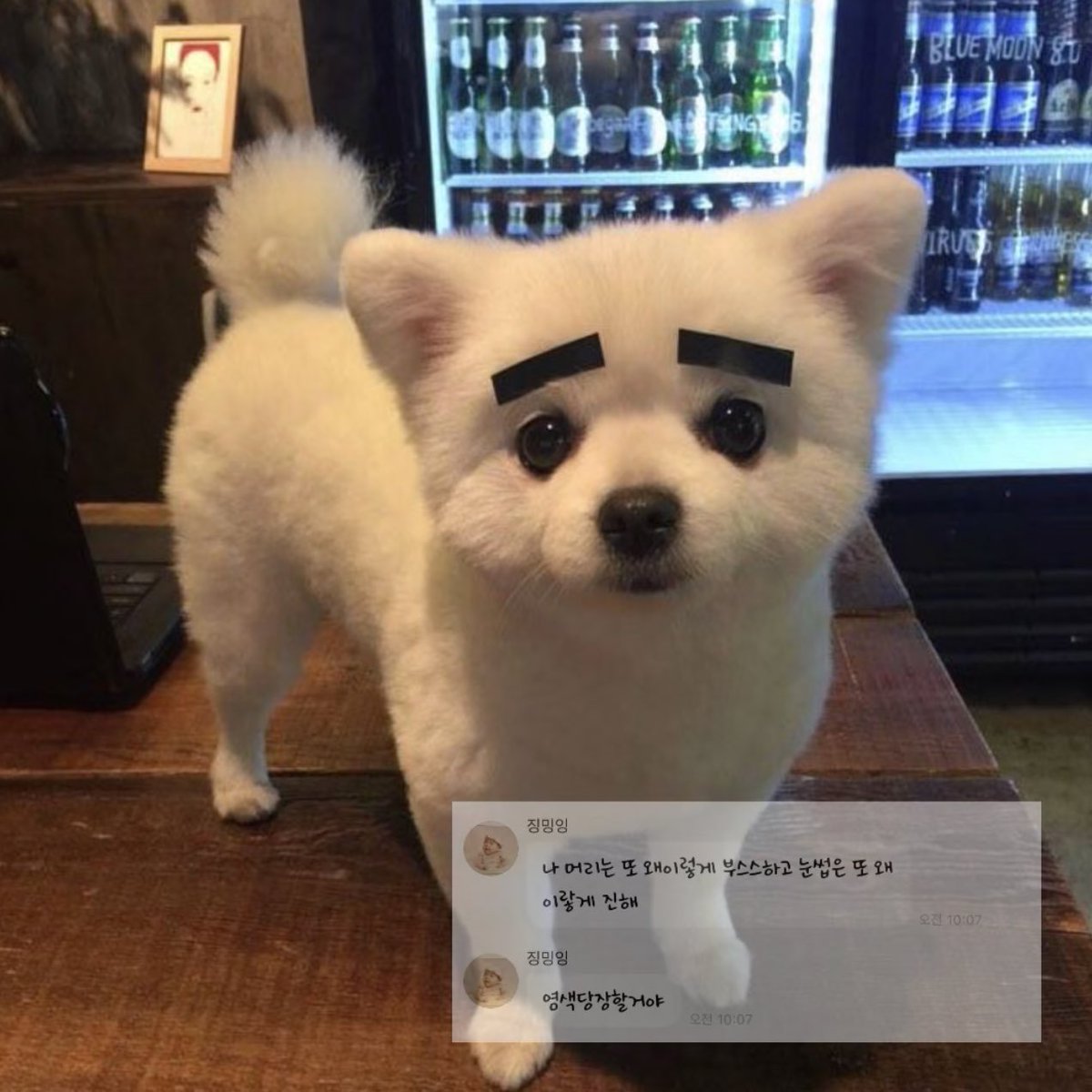 나 머리는 또 왜이렇게 부스스하고
눈썹은 또 왜이랗게 진해
염색당장할거야