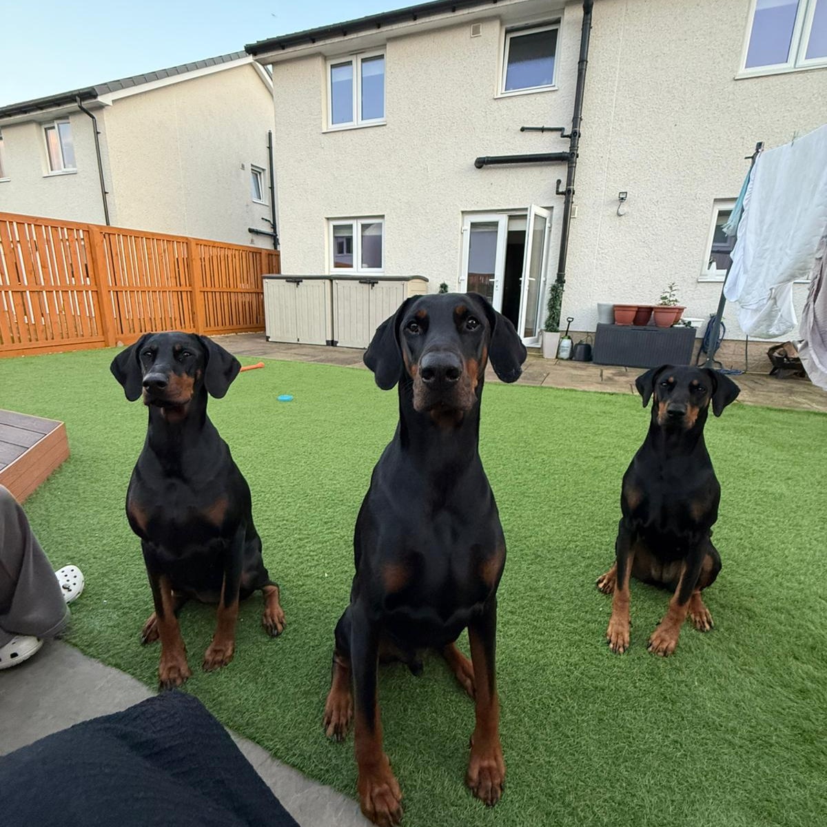 Stuart McLean tweet media