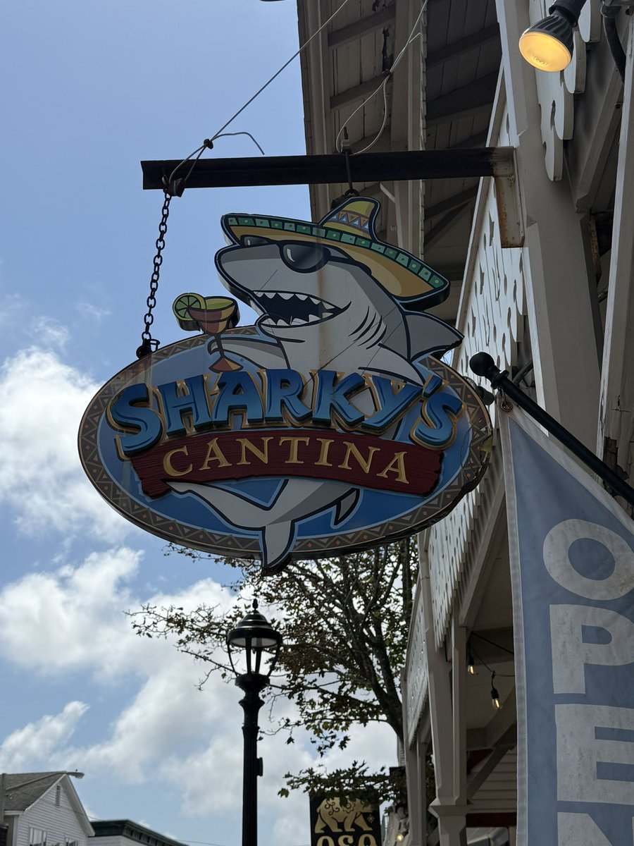 😷Lori L tweet media