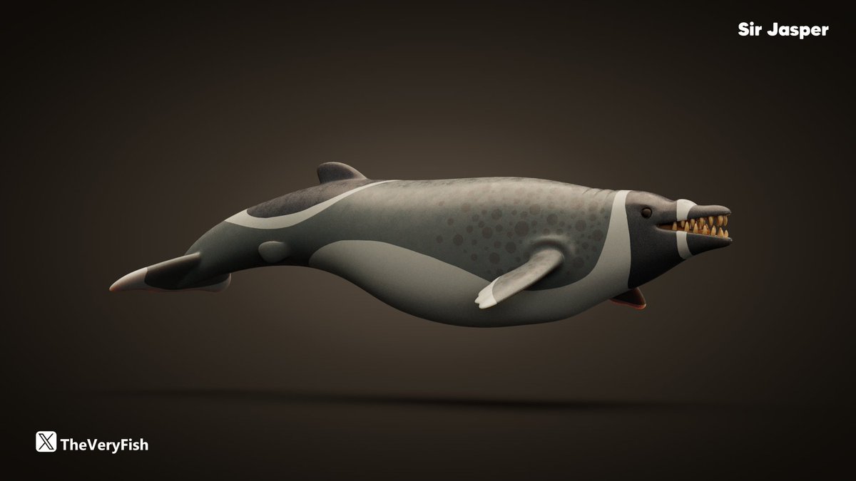 Relict populations of Dorudon and Basilosaurus are my likely candidates for ancient sea monster sightings, as their depictions resemble creatures found in historical navigation charts and maps. 

#Toydesign #Dorudon #ChaosCorona #Eocene #PaleoArt #Toy