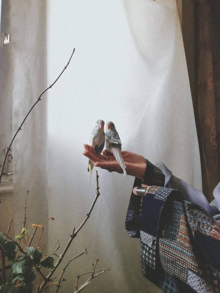 "Yaratan, Yaşatan, Yöneten #Allah'a
Hâmd Olsun."