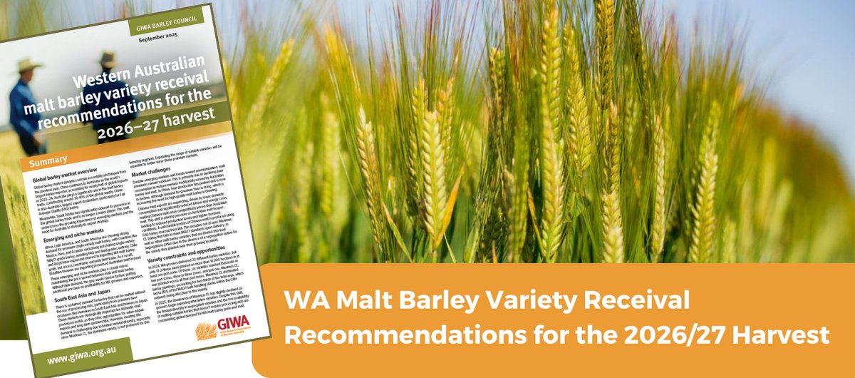 GIWA has released the latest WA Malt Barley Variety Receival Recommendations, to guide growers and consultants planning their 2026 barley cropping program. 
giwa.org.au/industry-proje…