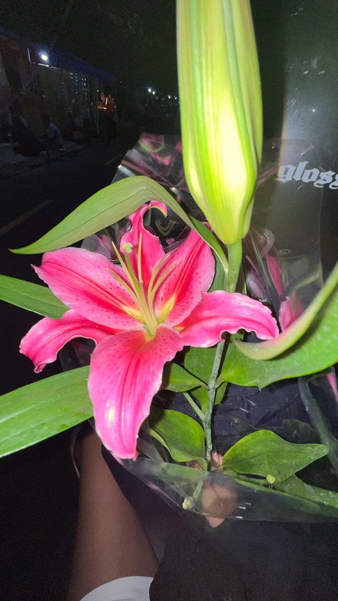 bleumeries's tweet image. im in love &amp;lt;8