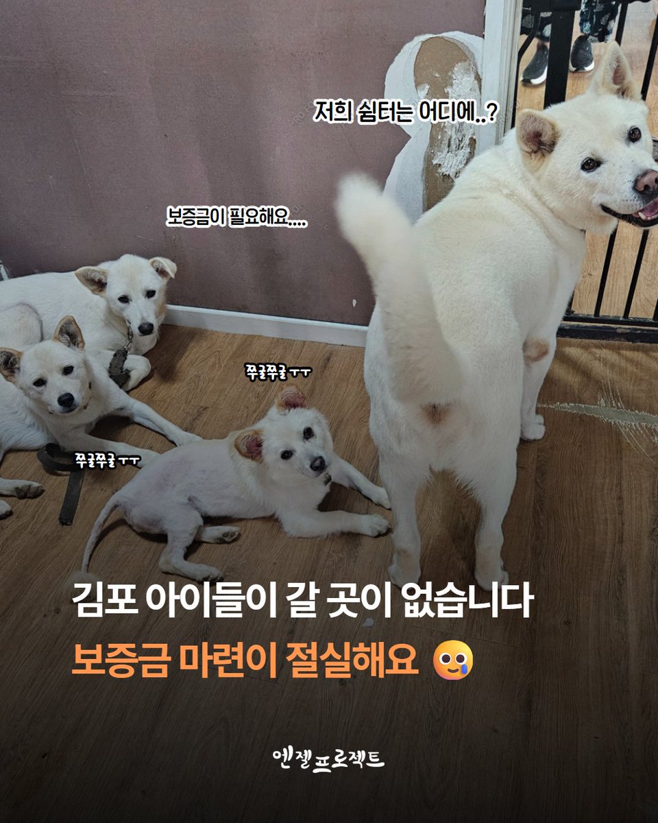 눈누난나❤(사)엔젤프로젝트 tweet media