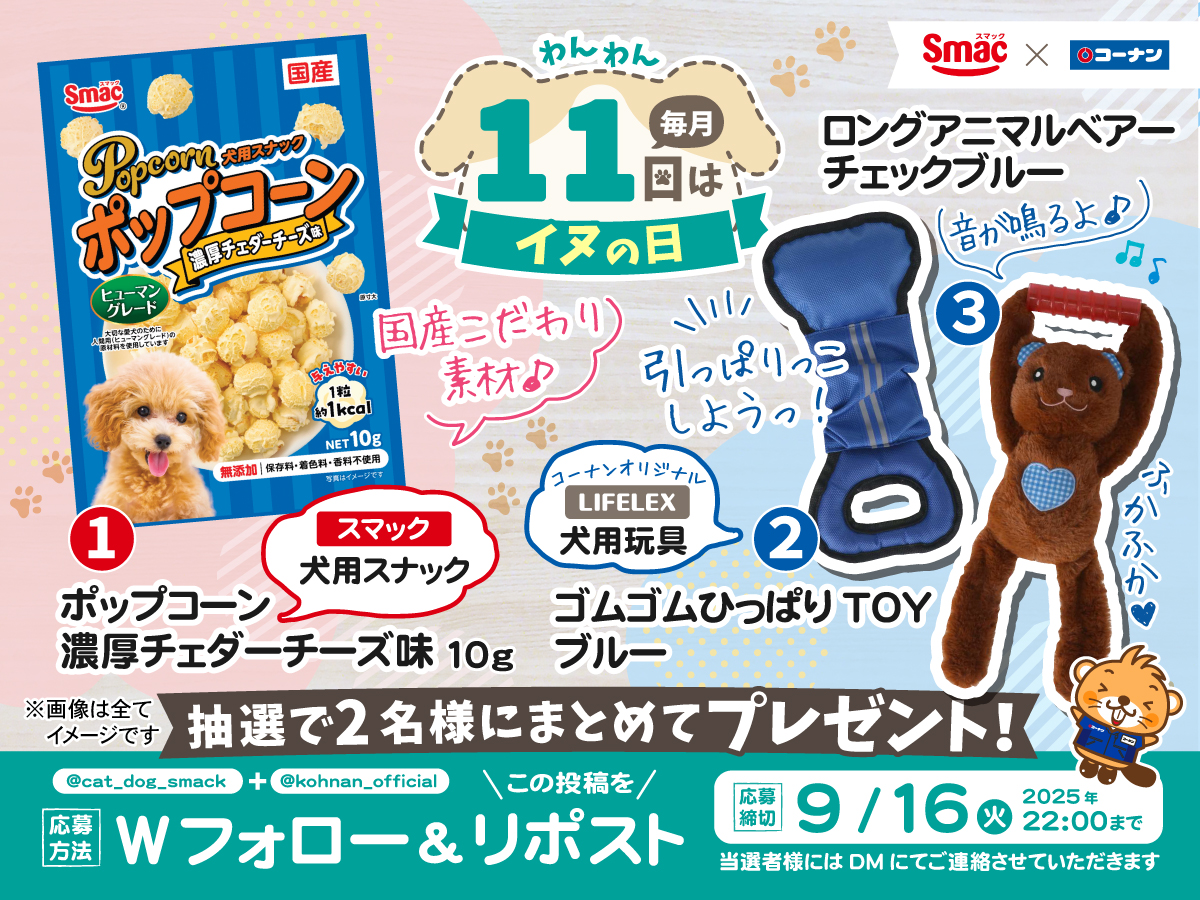 kohnan_official's tweet photo. 🐕 #イヌの日 9スペシャルキャンペーン 🐕

毎月11日は「イヌの日」🐶🌸
スマック様とコーナンの注目商品が当たるぅ🤩🎯

✅応募方法
①@cat_dog_smack と@kohnan_official をフォロー
②この投稿をリポスト

✅応募締切
2025/9/16(火)22:00

✅応募規約
https://t.co/9OBsUM5CvP https://t.co/hcnawf6tnT