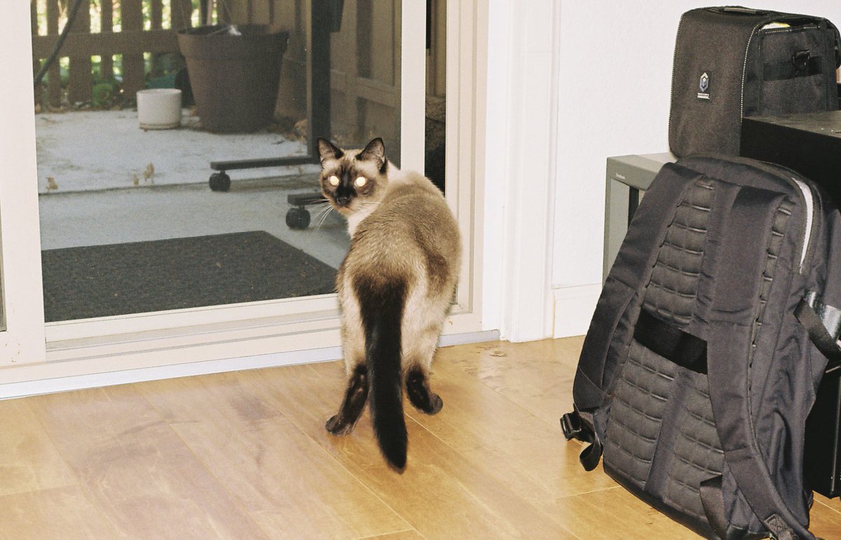 mojowski tweet media