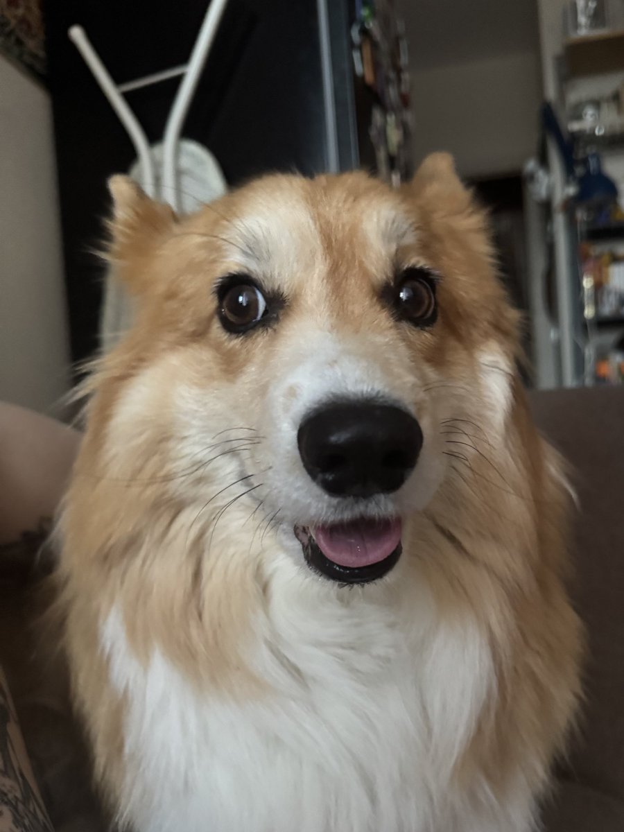 Дикий Гуд морнинг, желаю всем хорошего дня и отличного настроения ❤️