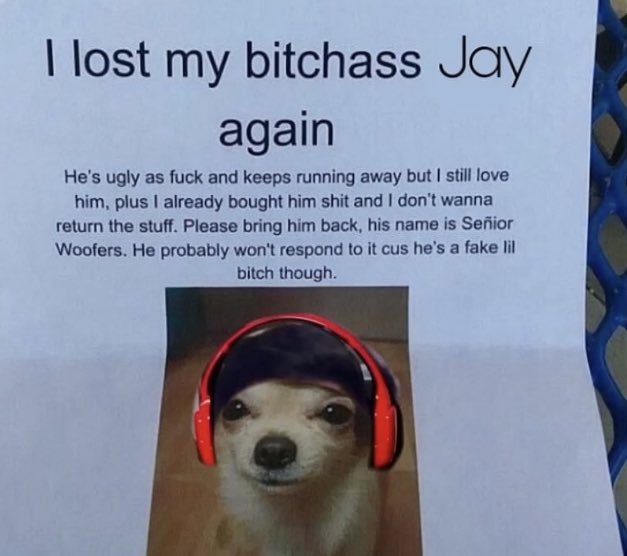 I laughed way too hard at this.