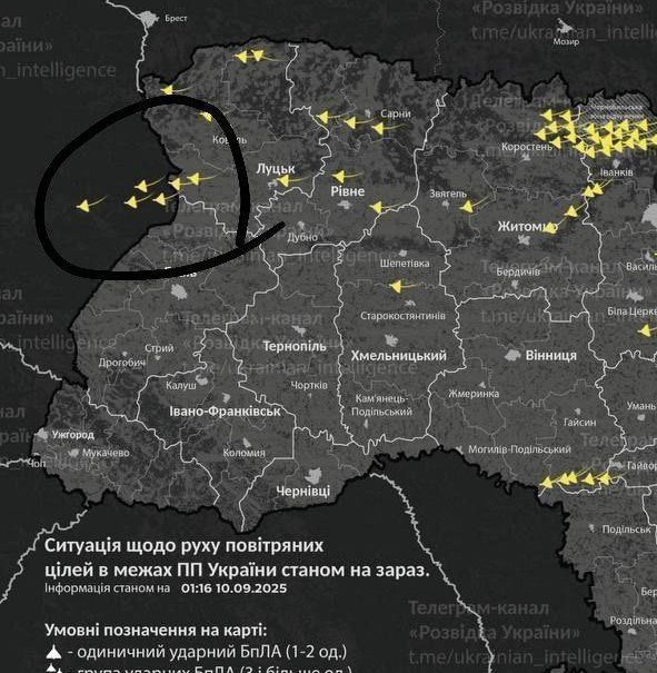 coolfonpl 🇵🇱 tweet media
