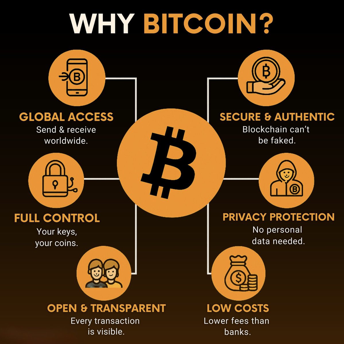 Plan_B_Halal's tweet image. #bitcoin #fullcontrol #hardmoney