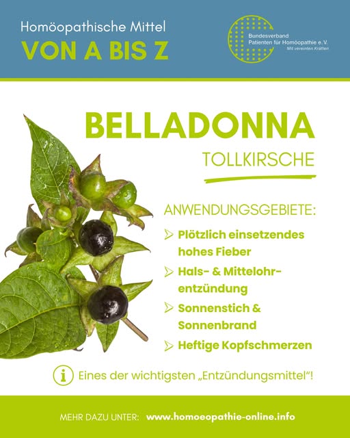 Vorgestellt: 𝗕𝗲𝗹𝗹𝗮𝗱𝗼𝗻𝗻𝗮 – 𝗱𝗶𝗲 𝗧𝗼𝗹𝗹𝗸𝗶𝗿𝘀𝗰𝗵𝗲 ist 𝗲𝗶𝗻𝗲 𝗱𝗲𝗿 𝗯𝗲𝗸𝗮𝗻𝗻𝘁𝗲𝘀𝘁𝗲𝗻 𝗵𝗼𝗺ö𝗼𝗽𝗮𝘁𝗵𝗶𝘀𝗰𝗵𝗲𝗻 𝗔𝗿𝘇𝗻𝗲𝗶𝗲𝗻. In der #Homöopathie sie eines der wichtigsten 𝗘𝗻𝘁𝘇ü𝗻𝗱𝘂𝗻𝗴𝘀𝗺𝗶𝘁𝘁𝗲𝗹. #Globuli homoeopathie-online.info/die-homoeopath…