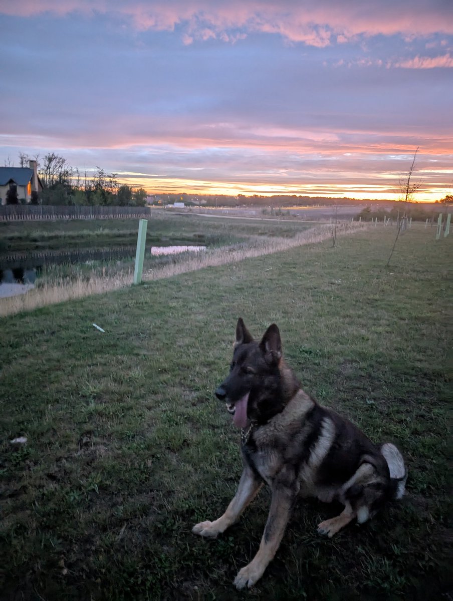 5 am walk with Dad before he and Pyper have their re licensing week...dads phone makes it look light, but 5am has suddenly got dark...winter is coming...boooo