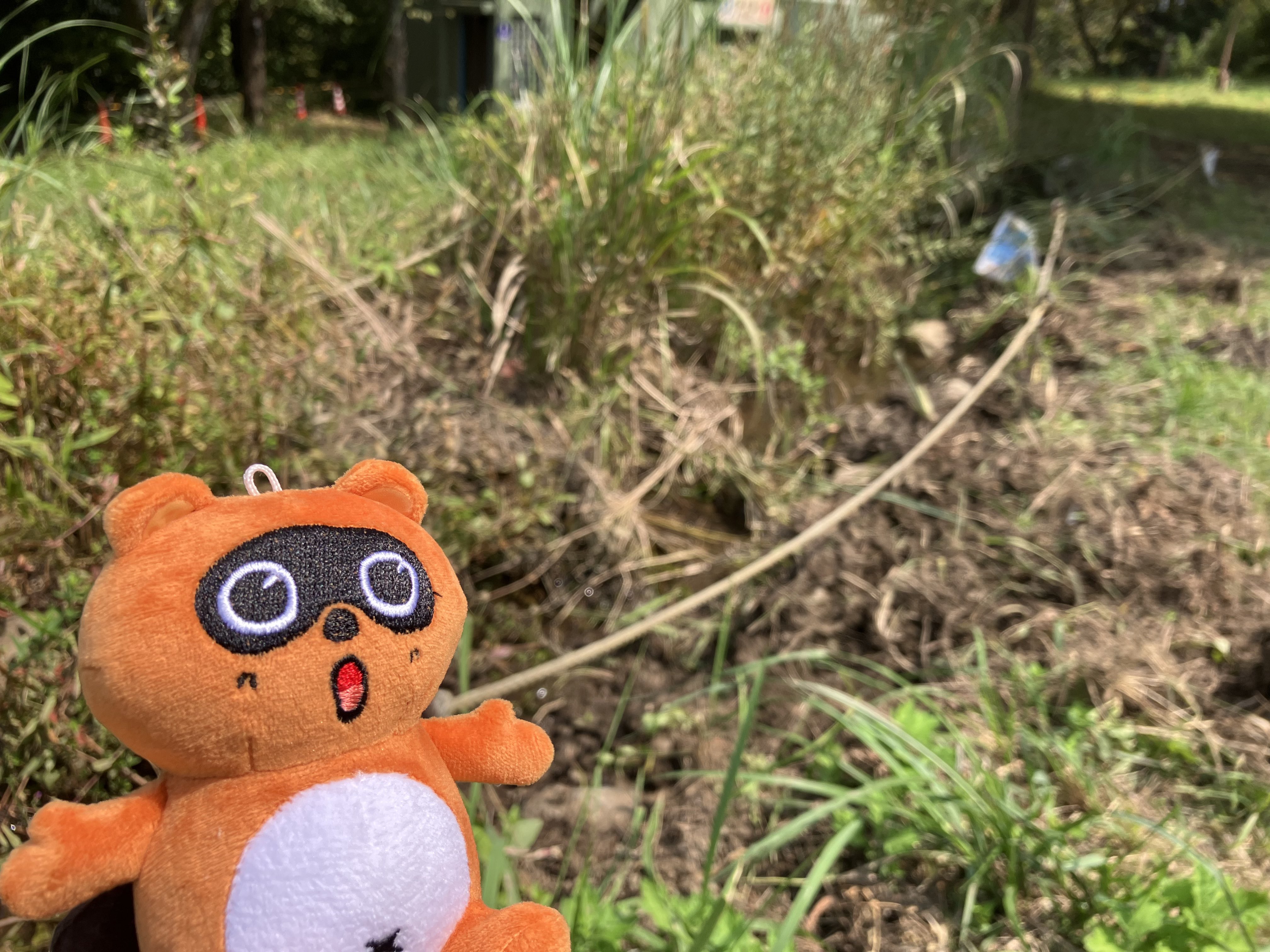 たぬきち どうぶつの森 たぬきち ぬいぐるみS たぬきち どう森 グッズ