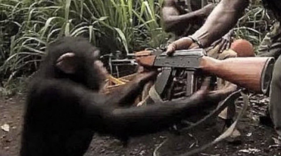 NullPointerCode's tweet image. No need to worry bro I’m just heading into a pull request review
#CodeReview #PullRequest #DevLife #ProgrammerHumor #SoftwareEngineering #TechTwitter