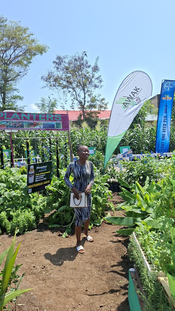 AWAK - Association of Women in Agriculture Kenya tweet media