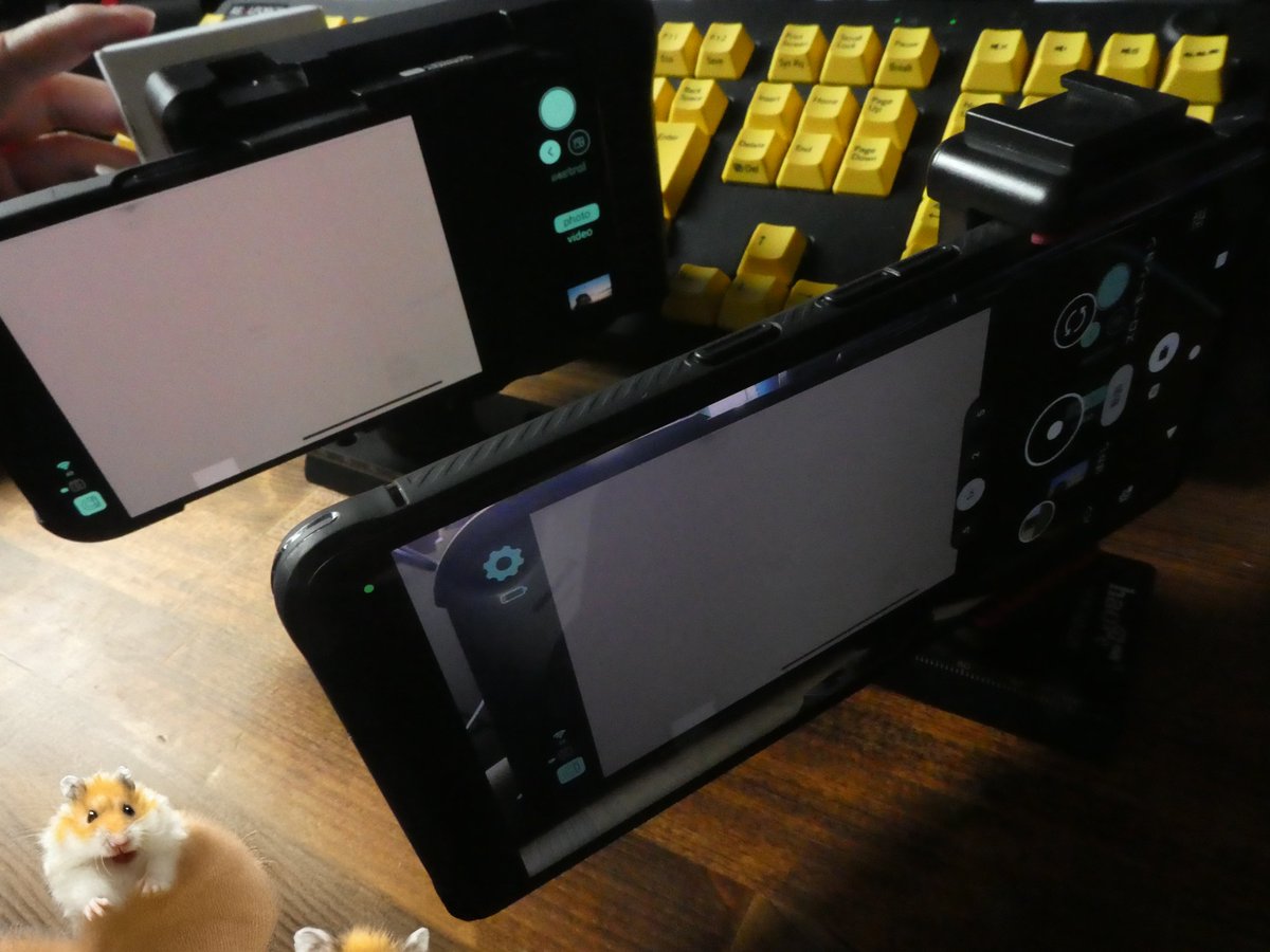 koi2bit's tweet photo. 私、魔女のキキ！
こっちはAliceCameraを操作中のスマホをスマホで撮影するシステム！

#alicecamera https://t.co/lSRtHYatSV