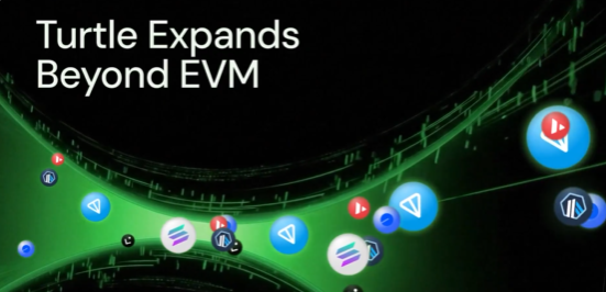 pumagin's tweet image. Great news for the @turtledotxyz community! 🐢

Turtle is going multichain, expanding beyond EVM to new ecosystems like @solana and @ton_blockchain.

This unlocks:
✅ New distribution channels for protocols
✅ Access to non-EVM dealflow for LPs
✅ A unified view to track your