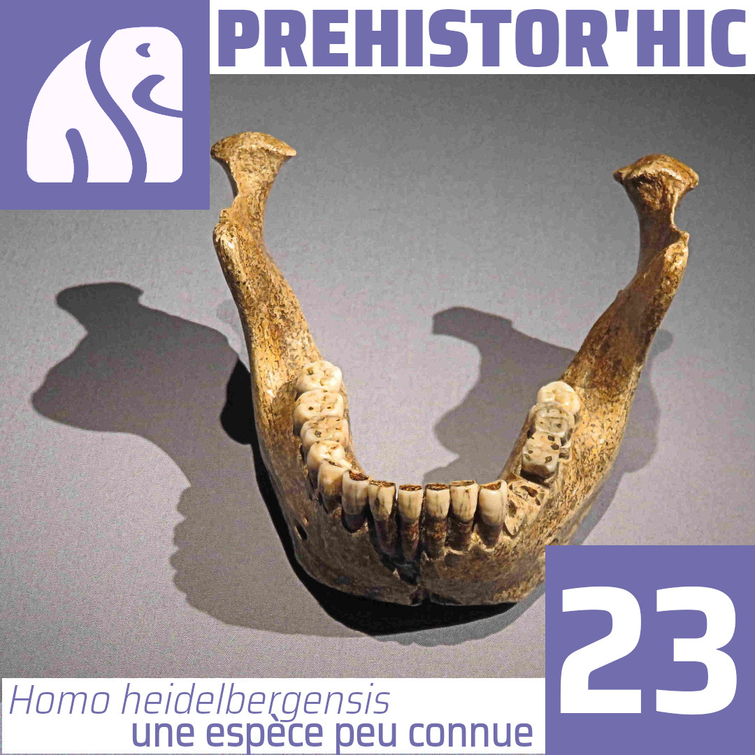 Prehistory Travel tweet media