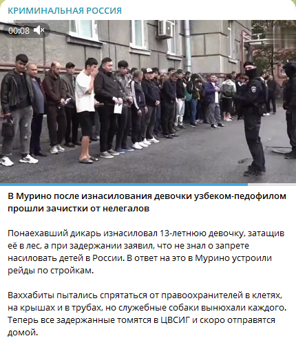 "Понаехавший дикарь изнасиловал 13-летнюю девочку, затащив её в лес, а при задержании заявил, что не знал о запрете насиловать детей в России".😳