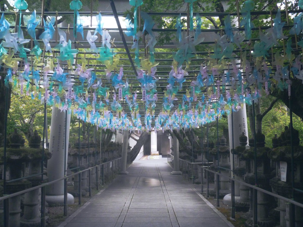 調子 (@nbfaqldnuvdcd0o) on Twitter photo 