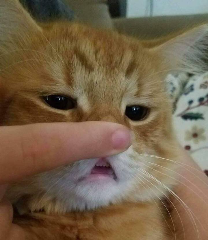 _nneocityy's tweet image. 🤓