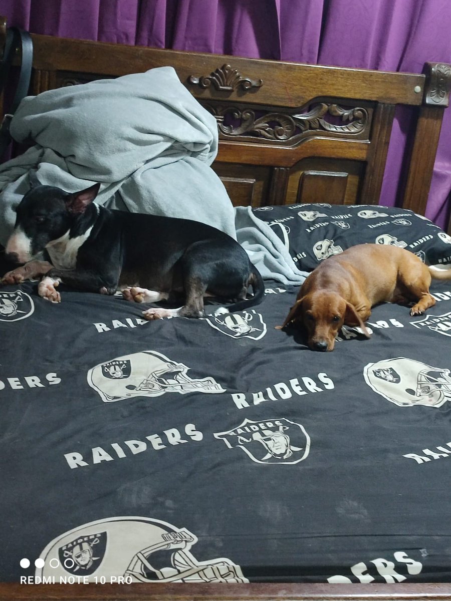 Gunter Kook tweet media