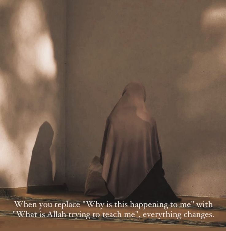 U m e . . tweet media