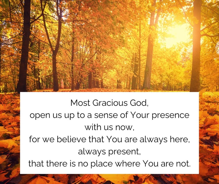 greene345's tweet image. A post from Church of Scotland l.txlions.org/TMzk92 #ChurchOfScotland #Faith #Community #Worship #Christianity