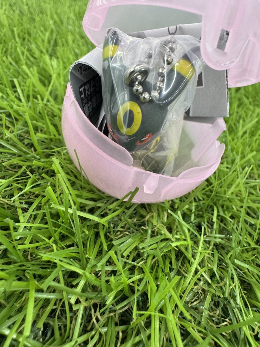 うーん、かわいいねぇ、かわいいねぇ
やっぱり推しはすぐにきてくれるねぇ