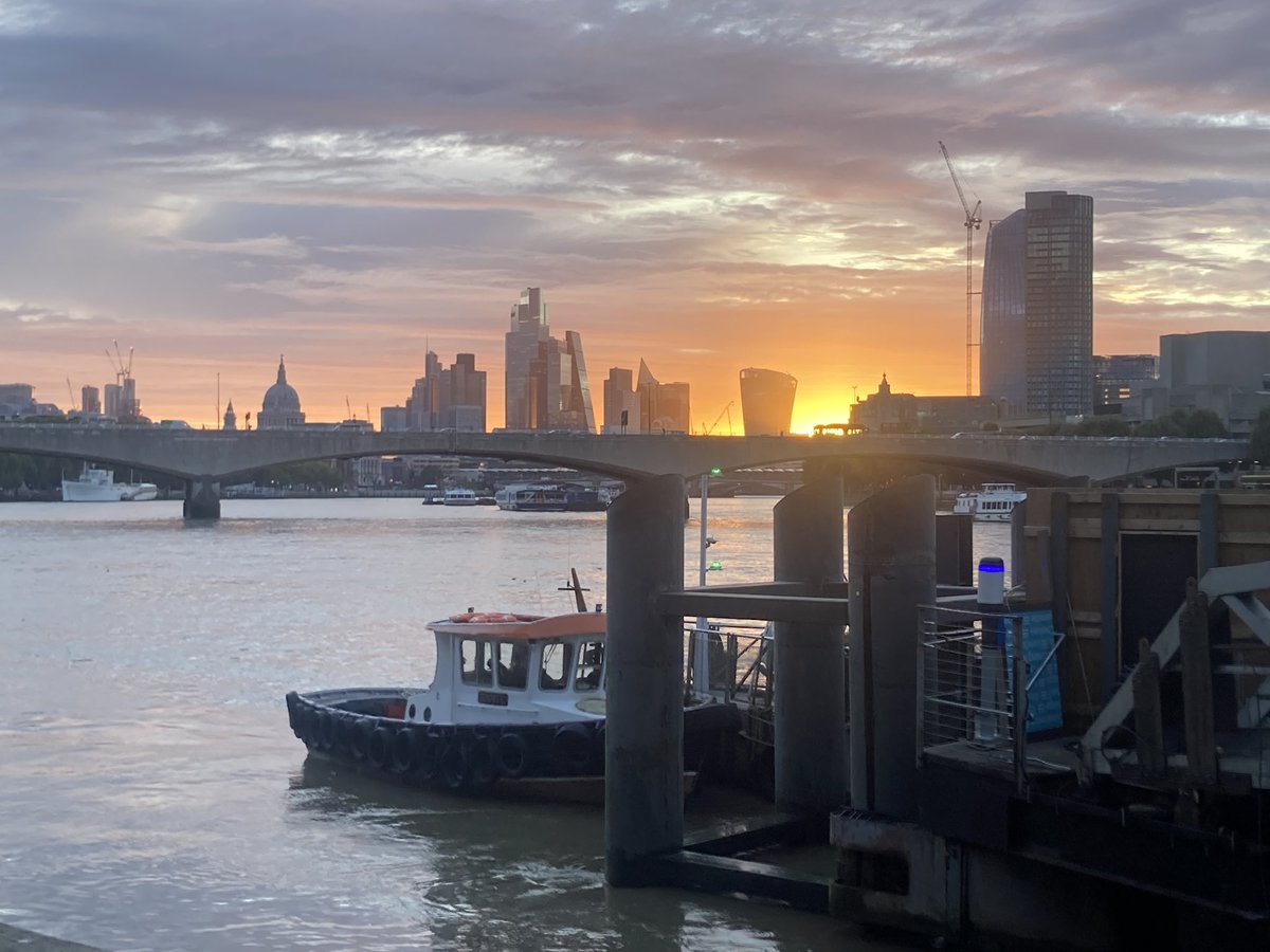 Sarah Morris tweet media