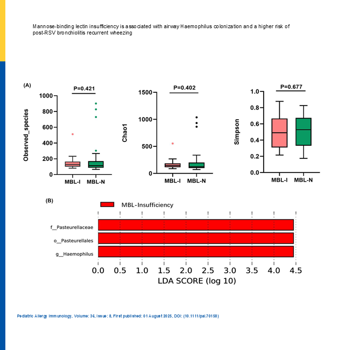 pai_eaaci's tweet image. Don´t miss the opportunity to read the #openaccess #originalarticle “Mannose-binding #lectin insufficiency is associated with airway #Haemophilus colonization and a higher risk of post-#RSV #bronchiolitis recurrent #wheezing” published in the #pai_Journal. 
🔗