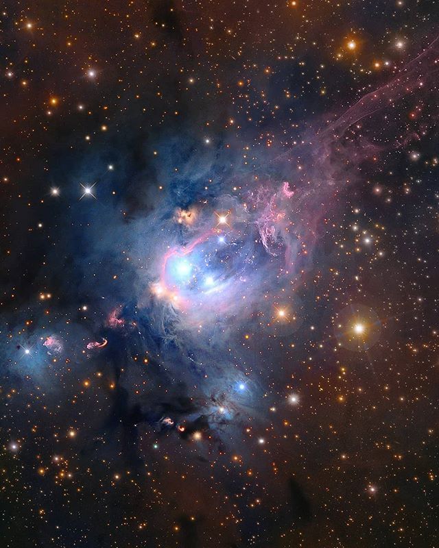 maiz_julio's tweet photo. Rosebud Nebula NGC 7129 © https://t.co/weWHbKyqZr https://t.co/BZx5vtHQvk
