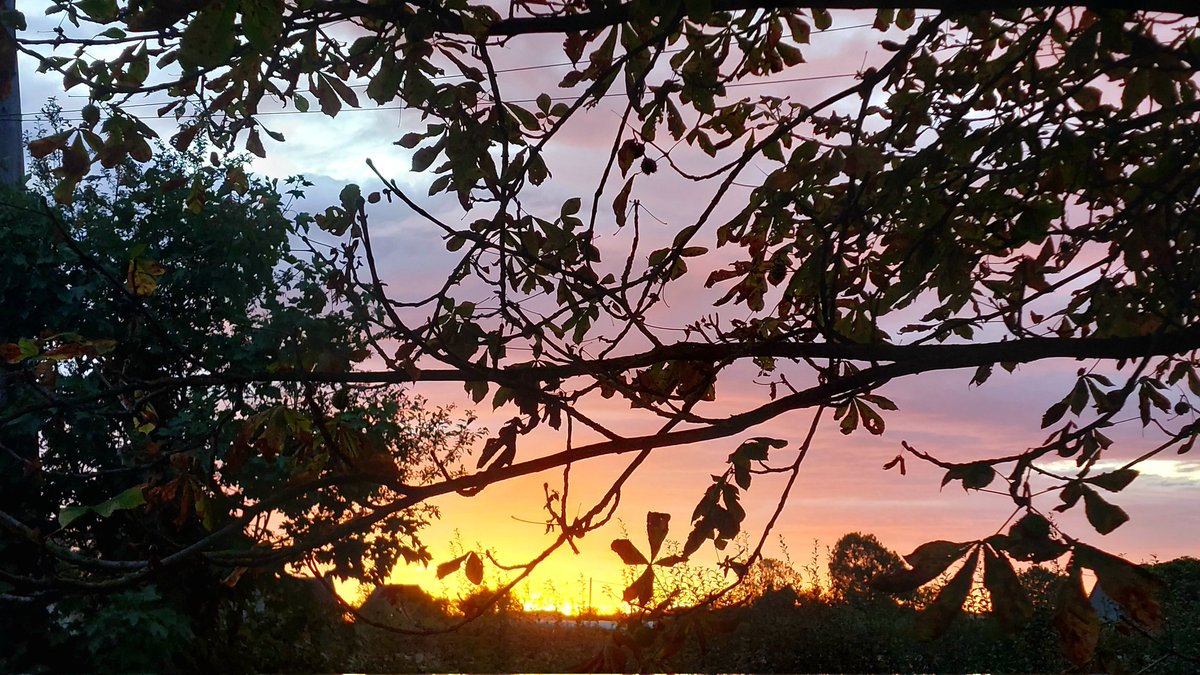 Rob Lawrence tweet media